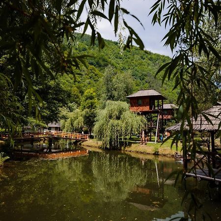 Fratii Jderi - Utopia Verde Brezoi Ngoại thất bức ảnh