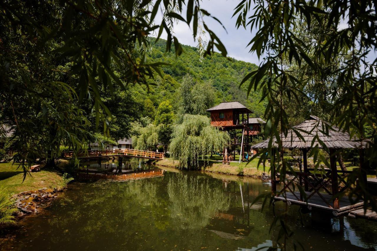 Fratii Jderi - Utopia Verde Brezoi Ngoại thất bức ảnh